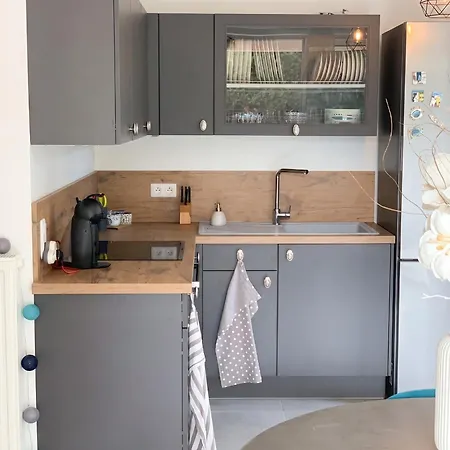 Apartment A Avec Jardin